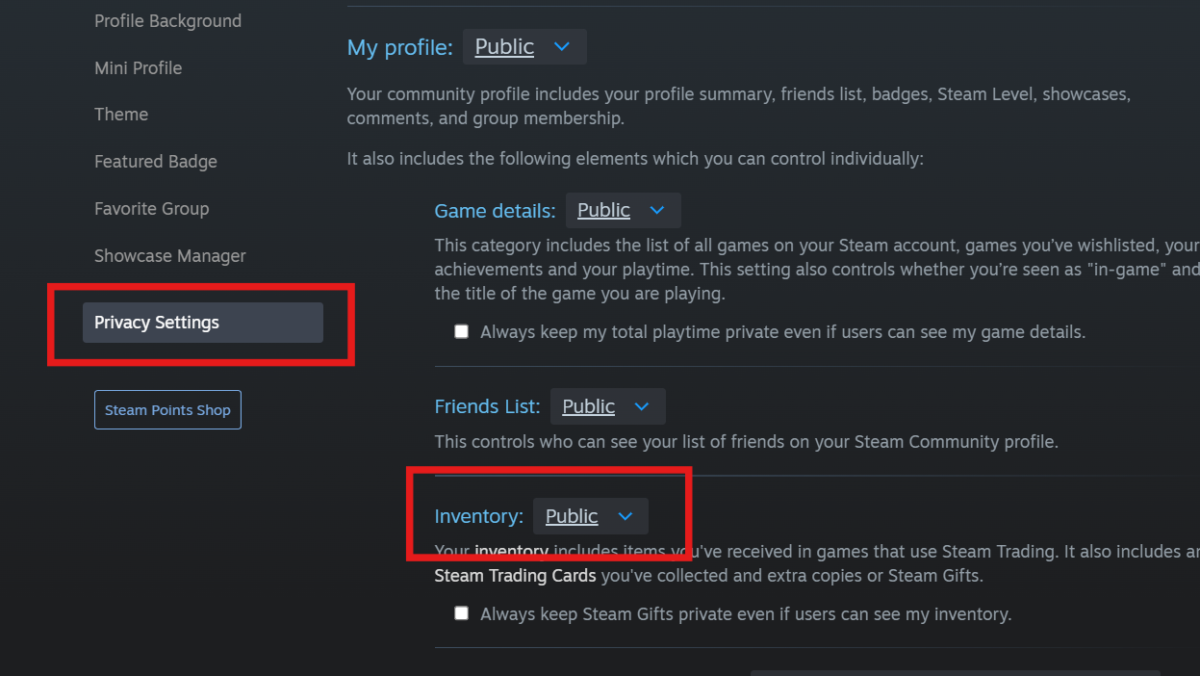 Steam Privacy Settings Inventory Public